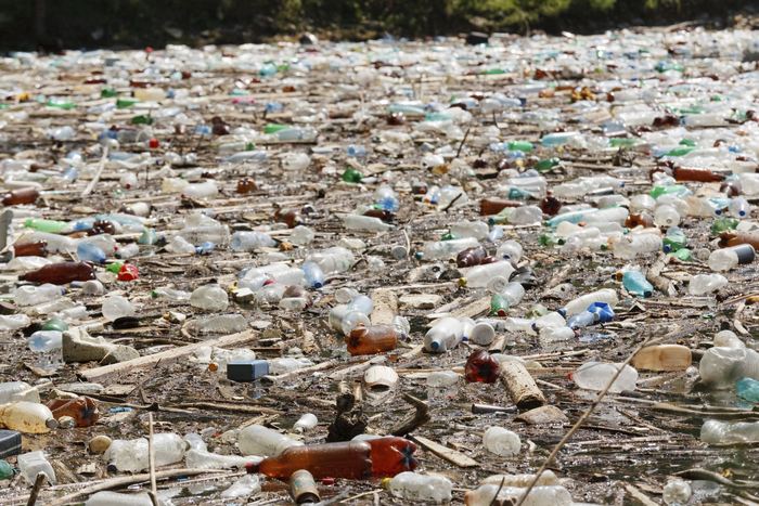 Экологическая проблема «Пластиковая бутылка». 