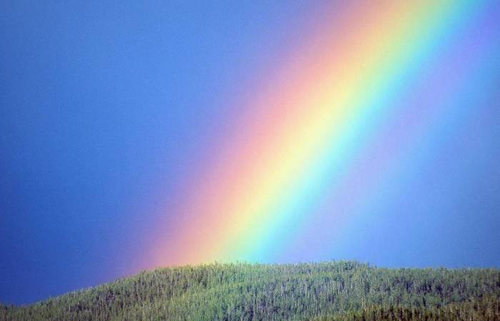 10 любопытных фактов о радуге