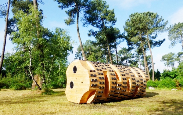 Дом внутри ствола дерева