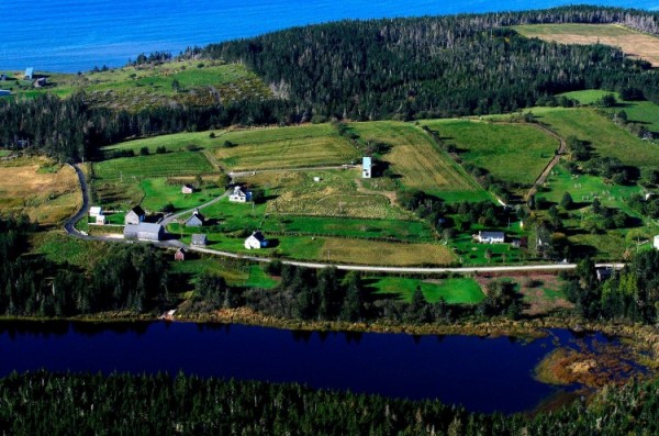 Жизнь с комфортом: наклонный необычный дом в Upper Kingsburg Жизнь с комфортом: наклонный необычный дом в Upper Kingsburg