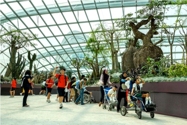 Сингапурские сады:  растения со всего мира