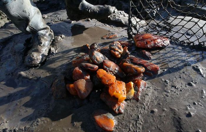 Янтарь озадачивал древних людей. Янтарь озадачивал древних людей.
