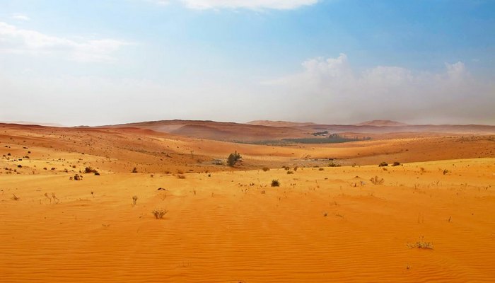 Вскоре здесь появится солнечная ферма «SoftBank Solar Project».