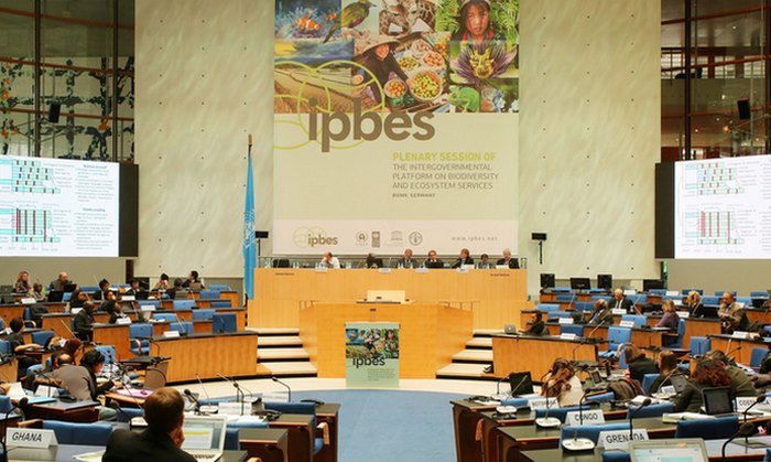 Заседание межправительственной платформы по биоразнообразию и экосистемным услугам (IPBES).