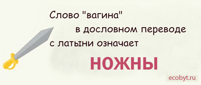 Влагалище - значит ножны