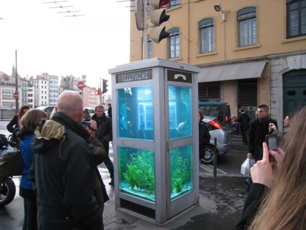 Необычный аквариум на улицах Лиона