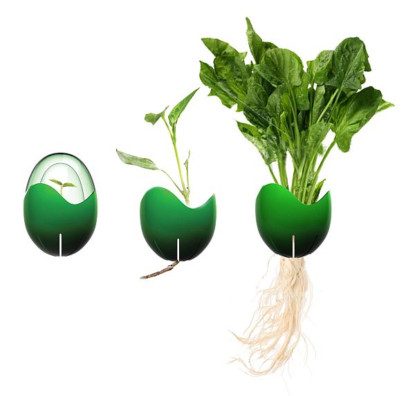 Sprout: практично и экологично