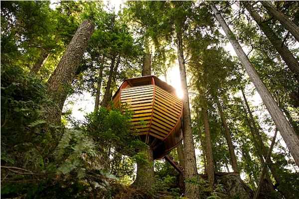 Яйцевидный дом в лесах Британской Колумбии
