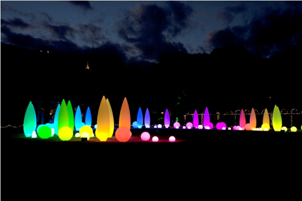Светодиодные светильники деревья в Ботаническом саду в Анланте