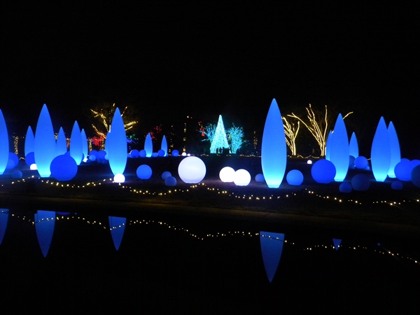 Настоящее световое шоу в Ботаническом саду