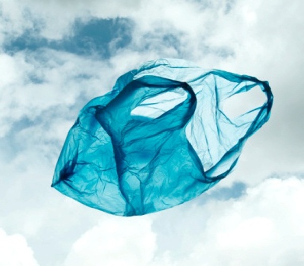 Голусуем за планету без пластикового мусора!