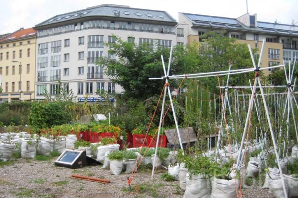 Овощная ферма Prinzessinnengarten в Берлине