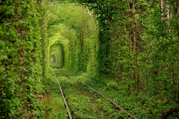 Самый зелёный в мире туннель