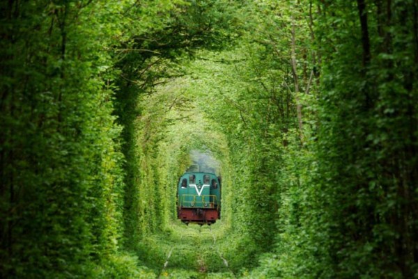 Туннель любви: поезда возможны