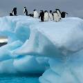 Россия и Украина против создания морских заповедников в Антарктике 