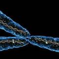 Учёные освободили клетки от хромосом, вызывающих болезнь Дауна