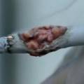 Курильщиков испугают сигаретами, больными раком 