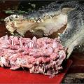 Самый большой в мире крокодил получил на 110-летие торт из цыплят