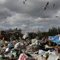 Власти Москвы введут запрет на захоронение мусора на новых территориях