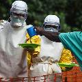 Российские учёные намерены победить Эболу