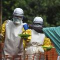 Названа группа людей, для которых Эбола не представляет опасности