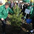 «Зеленые» отметят лесопосадками в Подмосковье «День Дерева» 