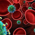 Биологи уничтожат ВИЧ, вырезав гены в иммунных клетках