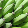Зеленые бананы позволяют сохранить крепкое здоровье и идеальную фигуру