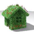 Эксперты рассказали, каким должен быть «зелёный» дом