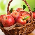 Мнение специалистов: 5 причин съесть яблоко