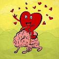 Ученые рассказали, как любовь влияет на мозг 