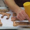 В Словении открылась первая пекарня для собак