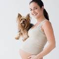 Собака признана лучшим компаньоном для беременной женщины