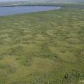 В России в 2012 году появится 15 «болотных» туристических центров 