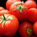 Любовь к томатам может выливаться в появление сильного запаха пота
