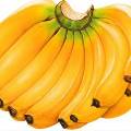 Бананы необходимо есть каждый день