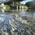 Загрязнение воды затронуло реки по всей Европе 