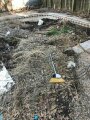 Дом с секретом, или Как дождь помог обнаружить роскошный бассейн в заброшенном дворе